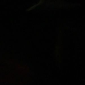 Meet your Posher, Paris